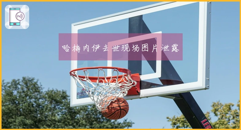 哈梅内伊去世现场图片泄露