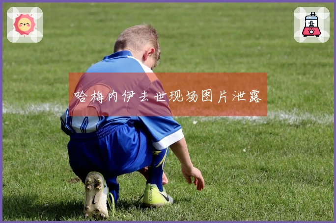 哈梅内伊去世现场图片泄露